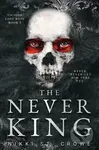 The Never King (Vicious Lost Boys 1) (A Peter Pan Dark Romance)