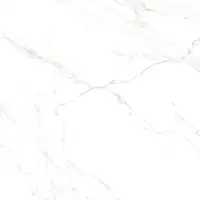 Naos Blanco Mate 120//120 Rect. PEI4