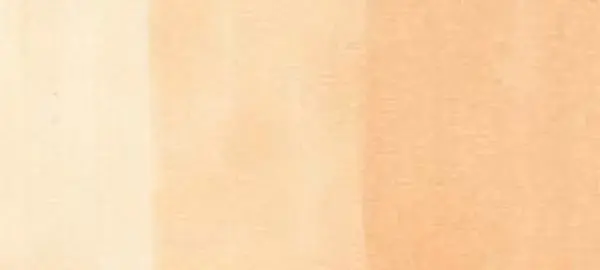 Copic sketch marker - E53 raw silk