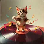 Simkara – Proč - Hop sem hop tam