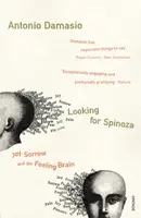 Looking For Spinoza - Antonio Damasio