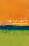The Welfare State - David  Garland