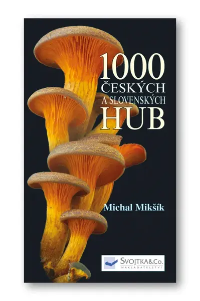 1000 českých a slovenských hub  Michal Mikšík - Michal Mikšík