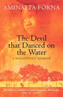 The Devil That Danced on the Water - Aminatta Forna