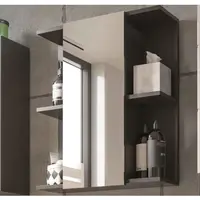 Koupelnová zrcadlová skříňka Gloss, antracit