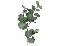 Umělá rostlina Eukalyptus 64 cm, zelená
