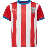 Puma FC ZBROJOVKA BRNO JR HOME JERSEY Detský futbalový dres, červená, veľkosť