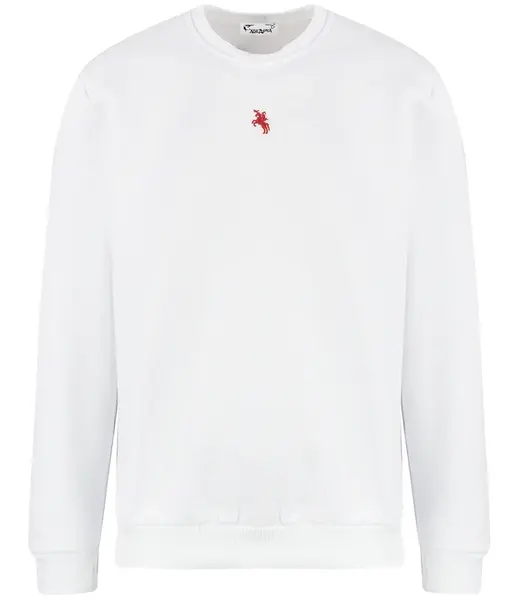 Pri Men's warm sweatshirt with ozodbone embroidery