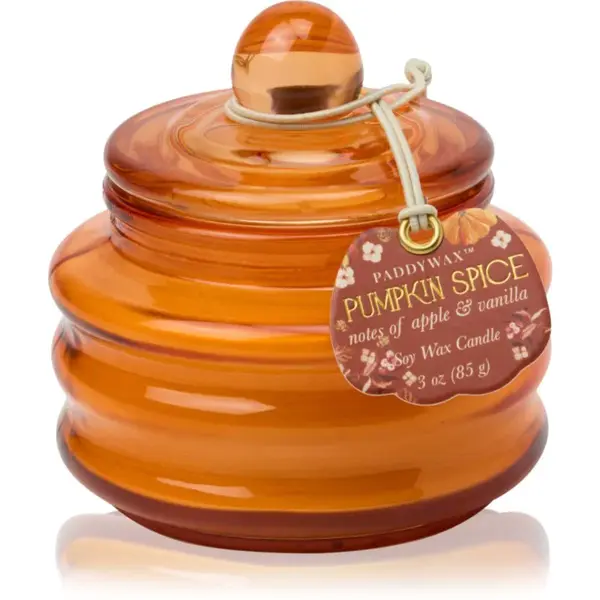 Paddywax Pumpkin Spice vonná svíčka 58 g
