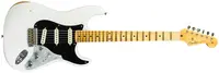 Fender Custom Shop 2023 Ltd. Poblano II. Stratocaster Relic AOWT