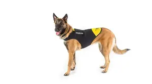 Julius-K9 Neopren IDC Šaty pro psa S (16DC-IDC-S)