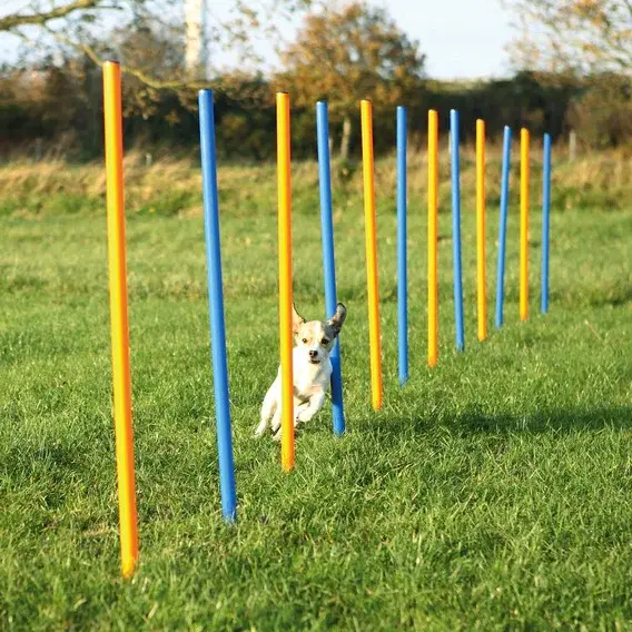 Trixie Agility - Slalom 115 × Ø 3 cm (TRX3206)