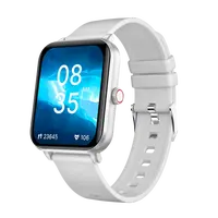 NICEBOY Watch Lite 4 Arctic Silver