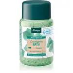 Kneipp Eucalyptus Bath soľ do kúpeľa Eucalyptus 500 g