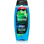 Radox Harmónia sprchový gél pre mužov maxi Mint & Sea Salt 450 ml