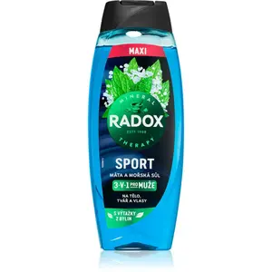 Radox Harmónia sprchový gél pre mužov maxi Mint & Sea Salt 450 ml