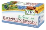 FYTOPHARMA Bylinný čaj Eudiaben so škoricou, 20 x 1.5 g