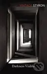 Darkness Visible (A Memoir of Madness) - William Styron - kniha z kategorie Beletrie