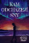 Kam odcházejí sny - Petra Fido - kniha z kategorie Thrillery