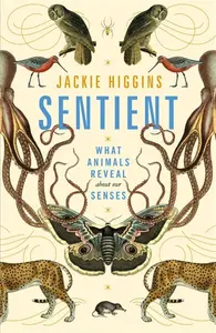 Sentient - Jackie Higgins