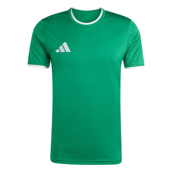 ADIDAS PERFORMANCE Funkčné tričko 'Entrada26'  zelená