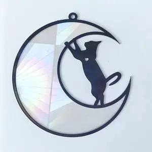 Acrylic Big Pendant