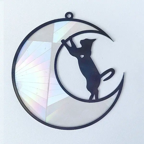 Acrylic Big Pendant