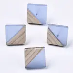 Transparent Resin & Wood Stud Earrings