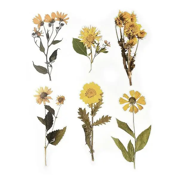 6Pcs Plant PET Adhesive Waterproof Stickers