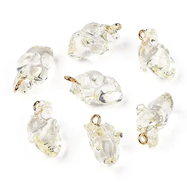 Transparent Resin Pendants
