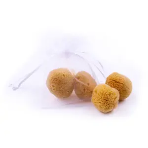 2PACK Menštruačná huba Premium Intim S (SCS148-2)