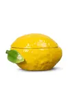 Byon Nádoba s víkem Byon Lemon