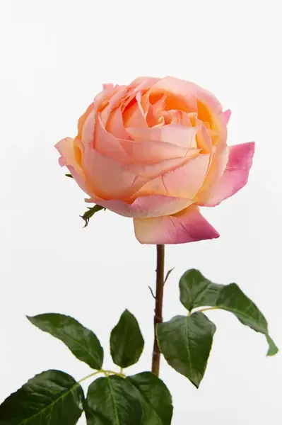 Umělá květina home & lifestyle 52 cm