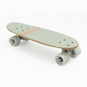 Banwood skateboard - Mint