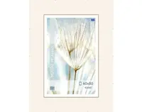 Klipový rám 60x80 cm, čirý