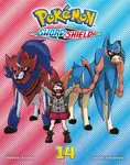 Pokemon: Sword & Shield, Vol. 14 - Hidenori Kusaka