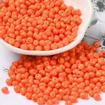 6/0 Opaque Baking Paint Glass Seed Beads
