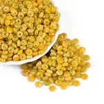 Picasso Glass Seed Beads