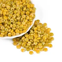 Picasso Glass Seed Beads