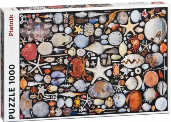 Puzzle Z pláže 1000 dílků