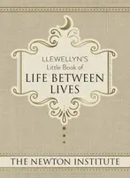 Llewellyn's Little Book of Life Between Lives
