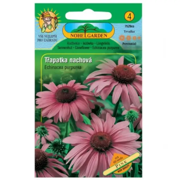 Echinacea purpurová, fialová