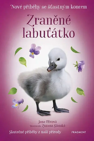 Nové příběhy se šťastným koncem Zraněné labuťátko