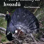 V šeru temných hvozdů
