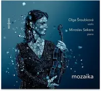Mozaika