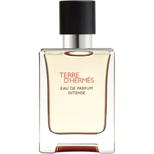 HERMÈS Terre d’Hermès Eau de Parfum Intense parfémovaná voda intense pro muže 50 ml