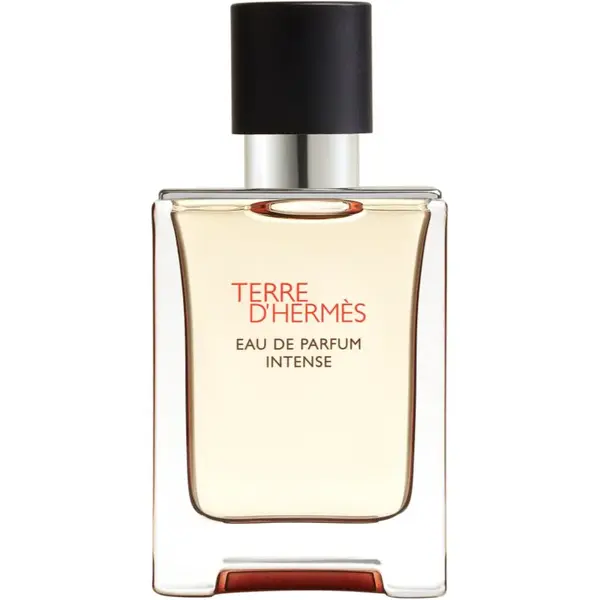 HERMÈS Terre d’Hermès Eau de Parfum Intense parfémovaná voda intense pro muže 50 ml