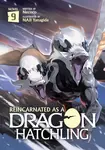Reincarnated as a Dragon Hatchling (Light Novel) Vol. 9 - Necoco