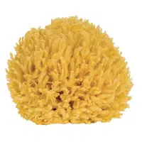 CROLL & DENECKE Přírodní mořská mycí houba 10 cm - 1 kus
