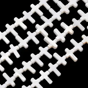 Natural Freshwater Shell Beads Strands